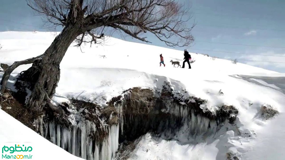  فیلم سینمایی اسکی باز به کارگردانی 
