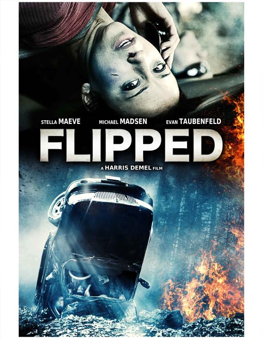  فیلم سینمایی Flipped به کارگردانی 