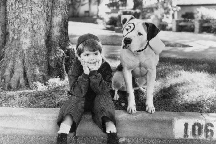 Travis Tedford در صحنه فیلم سینمایی The Little Rascals