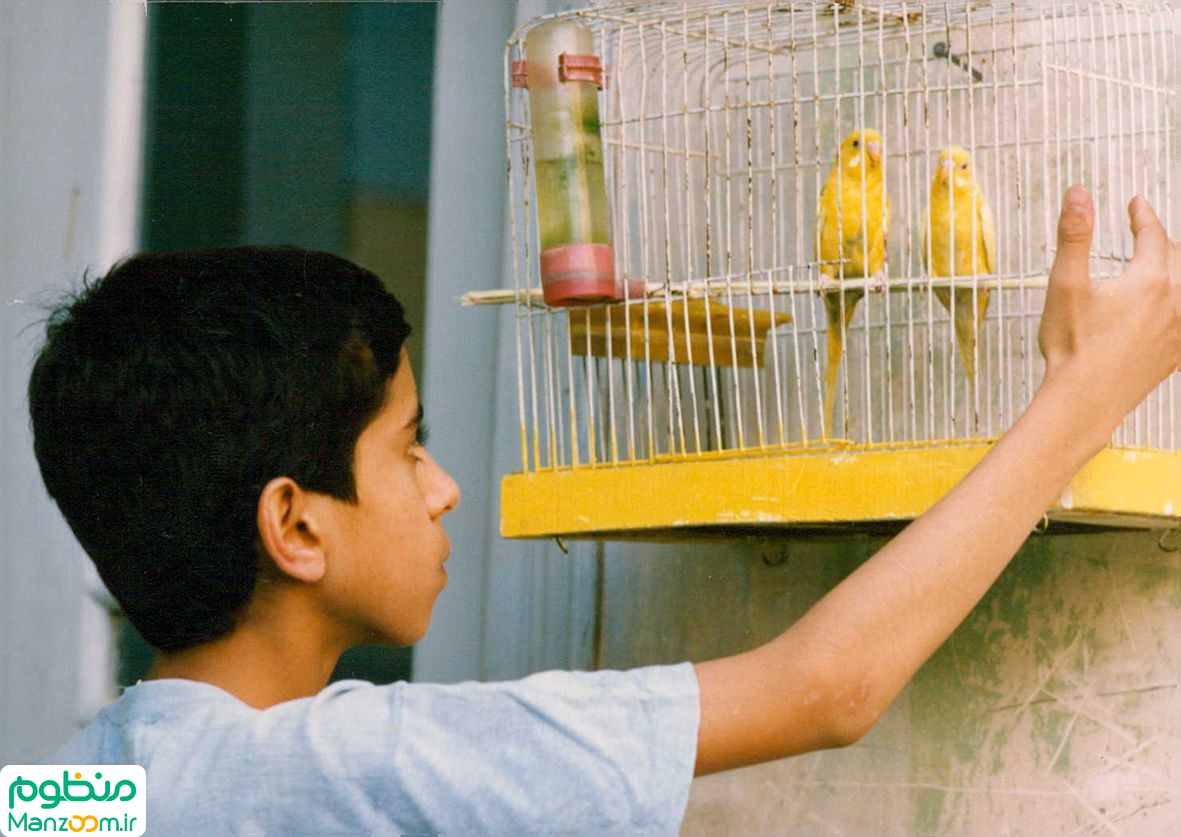  فیلم سینمایی صبح روز بعد به کارگردانی کیومرث پوراحمد