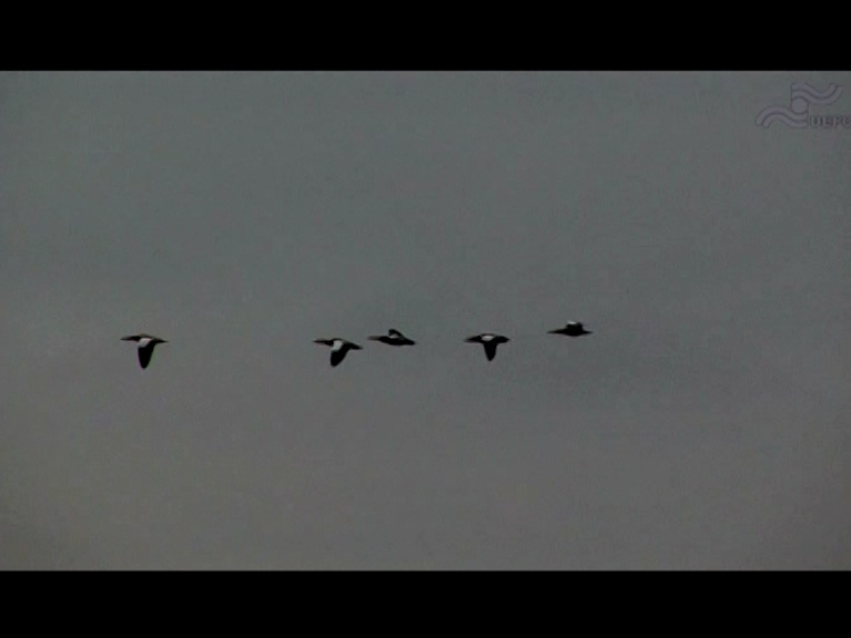  فیلم سینمایی چه شور بود دریاچه من به کارگردانی حسن قهرمانی