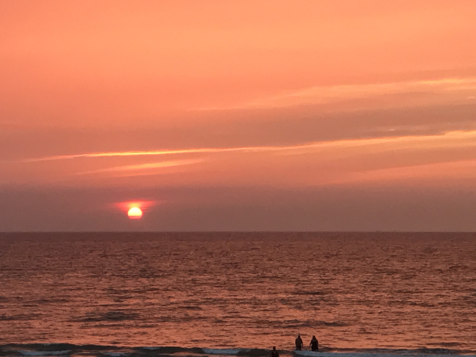  فیلم مستند در جستجوی فریده به کارگردانی آزاده موسوی و کوروش عطائی