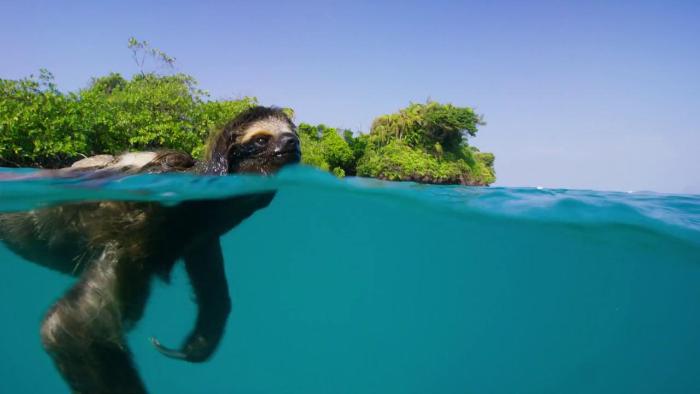  سریال تلویزیونی سیاره زمین 2 به کارگردانی 