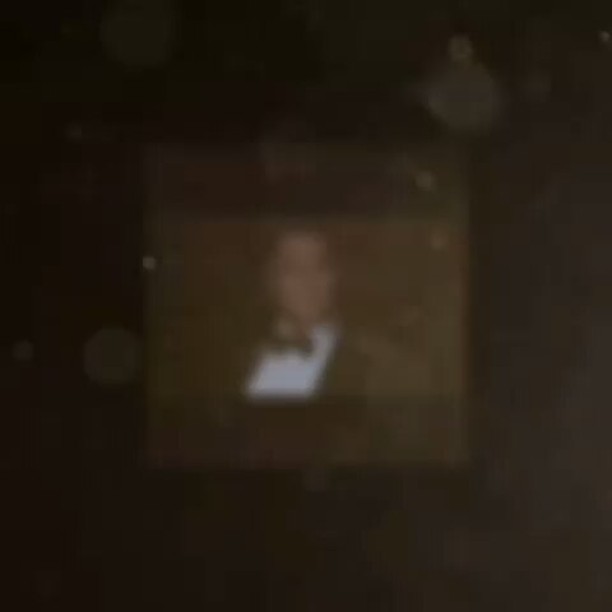 تصویری شخصی از محمدرضا گلزار، بازیگر و مجری سینما و تلویزیون