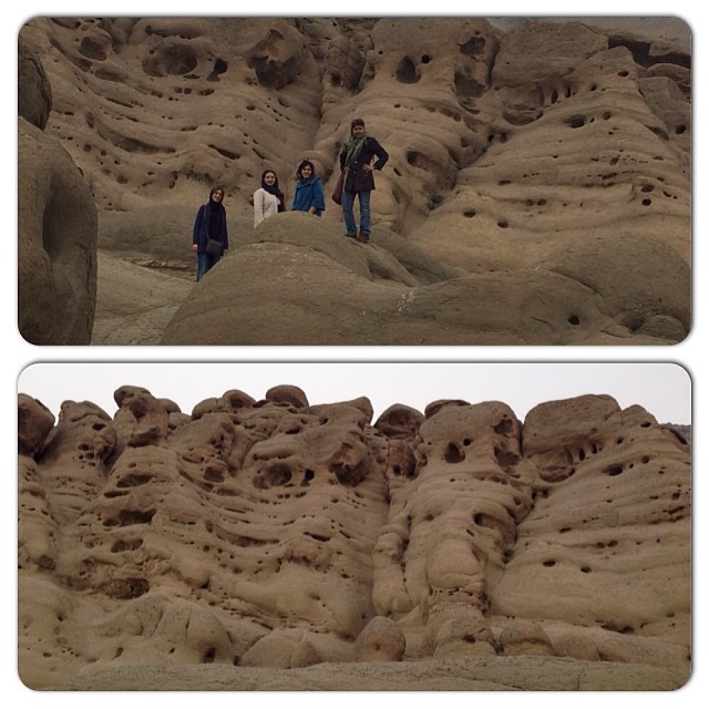 تصویری شخصی از شبنم مقدمی، بازیگر و کارشناس سینما و تلویزیون