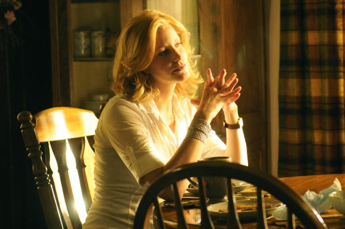 Anna Gunn در صحنه سریال تلویزیونی برکینگ بد