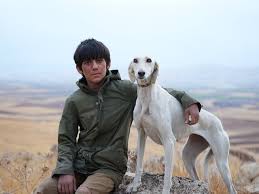  فیلم سینمایی فریاد به کارگردانی محمدرضا اردلان