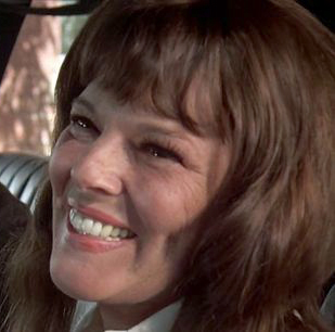  فیلم سینمایی چارلی واریک به کارگردانی Don Siegel