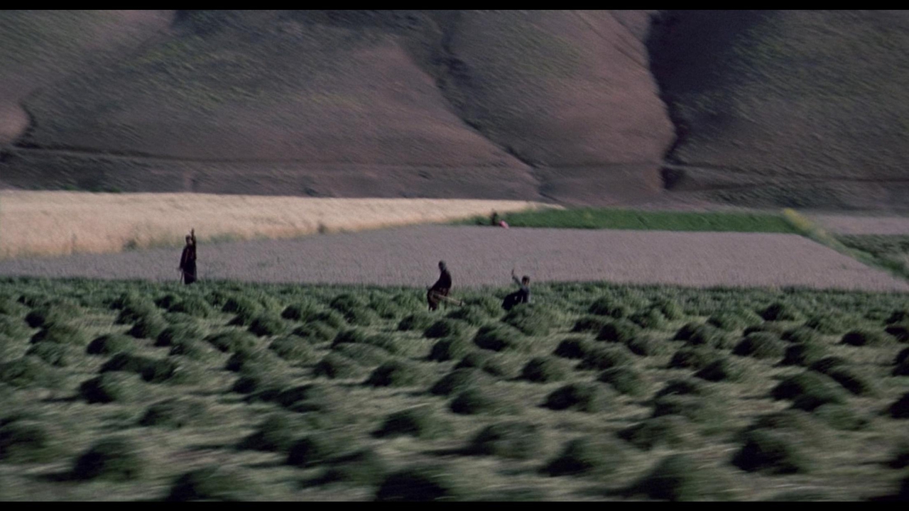  فیلم سینمایی The Wind Will Carry Us به کارگردانی Abbas Kiarostami