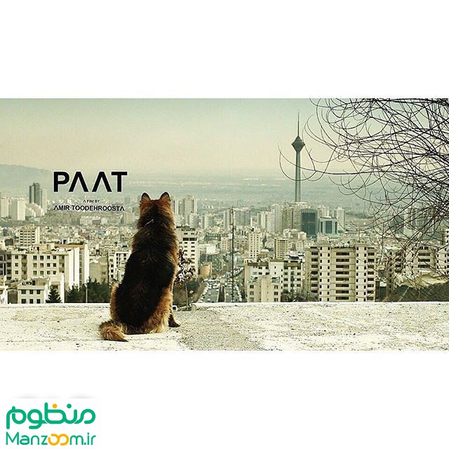  فیلم سینمایی پات به کارگردانی 