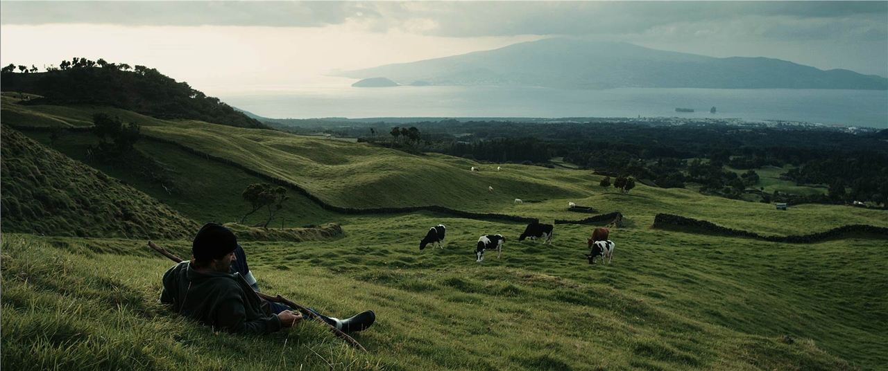 فیلم سینمایی Cinzento e Negro به کارگردانی Luís Filipe Rocha