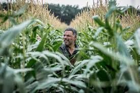  فیلم سینمایی بی سر و صدا به کارگردانی مجیدرضا مصطفوی