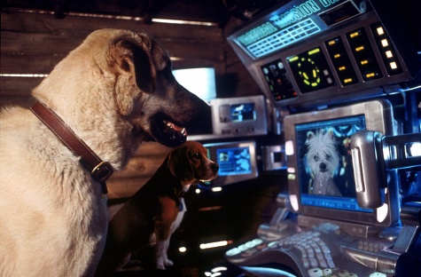  فیلم سینمایی گربه ها و سگ ها به کارگردانی Lawrence Guterman