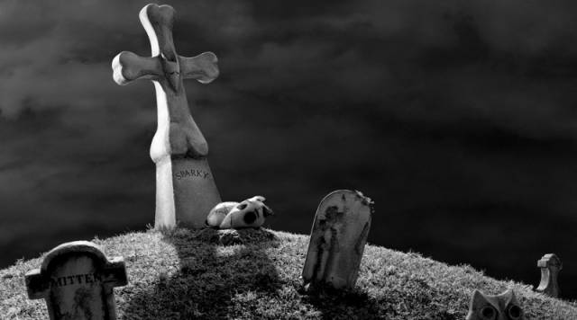  فیلم سینمایی فرنکن وینی به کارگردانی Tim Burton