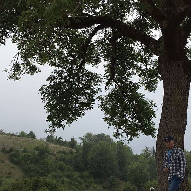 تصویری شخصی از علی عمرانی، بازیگر و کارگردان سینما و تلویزیون