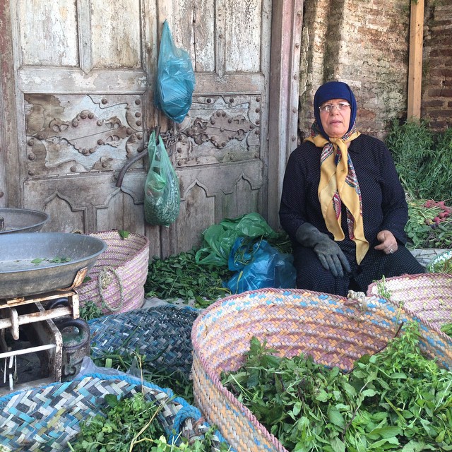 تصویری شخصی از شبنم مقدمی، بازیگر و کارشناس سینما و تلویزیون