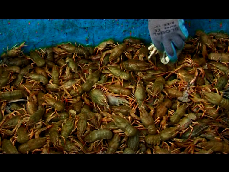  فیلم سینمایی چه شور بود دریاچه من به کارگردانی حسن قهرمانی