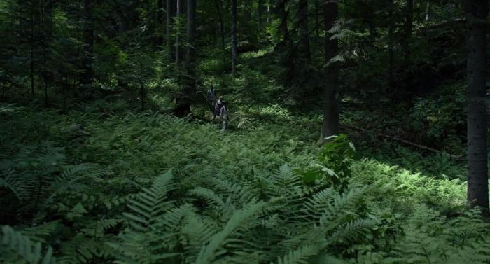 ناتالی دورمر در صحنه فیلم سینمایی جنگل به همراه Yukiyoshi Ozawa و Taylor Kinney