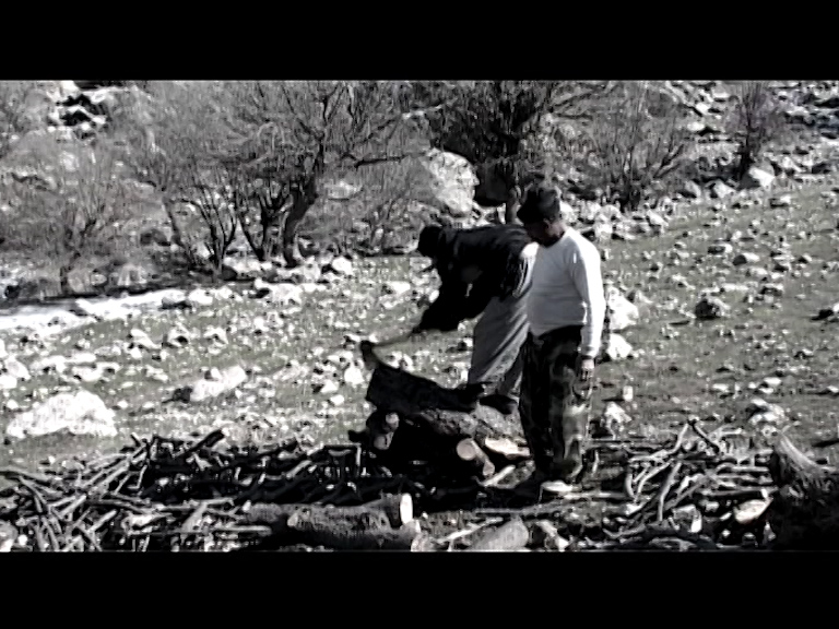  فیلم سینمایی مادرم بلوط به کارگردانی ندارد