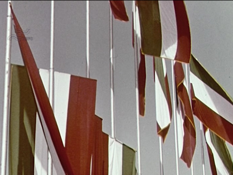  فیلم سینمایی سبز، سپید، سرخ به کارگردانی محمدرضا هاشمیان