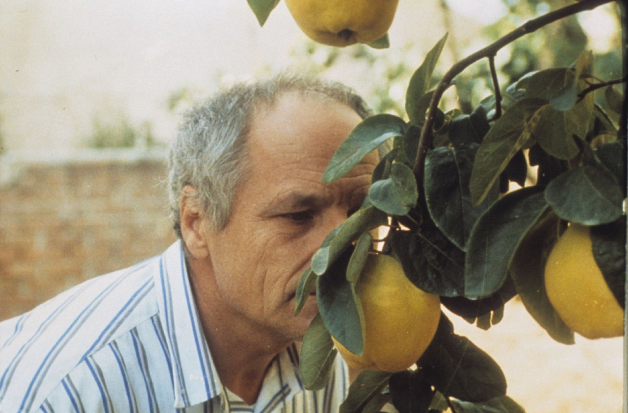  فیلم سینمایی The Quince Tree Sun با حضور Antonio López