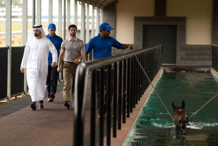  فیلم سینمایی The Cup به کارگردانی Simon Wincer