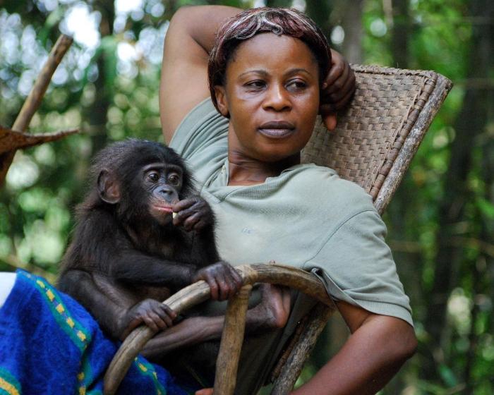  فیلم سینمایی Bonobos: Back to the Wild به کارگردانی 