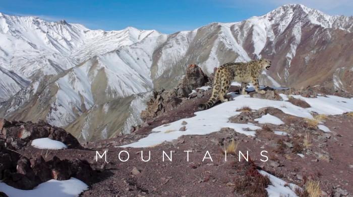  سریال تلویزیونی سیاره زمین 2 به کارگردانی 