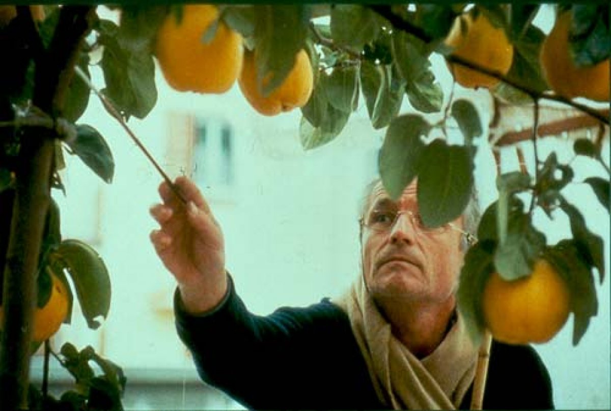  فیلم سینمایی The Quince Tree Sun با حضور Antonio López