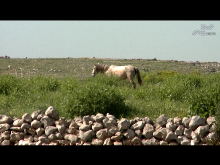  فیلم سینمایی جایی که زندگی می‌کنیم به کارگردانی مرتضی پایه شناس