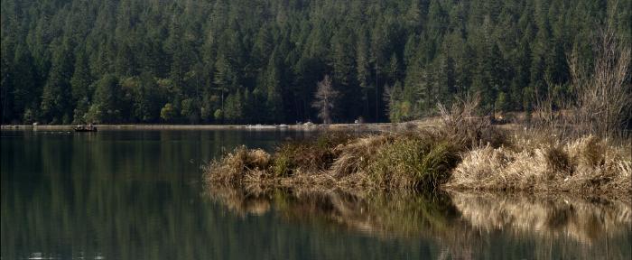  فیلم سینمایی Redwood Highway به کارگردانی 