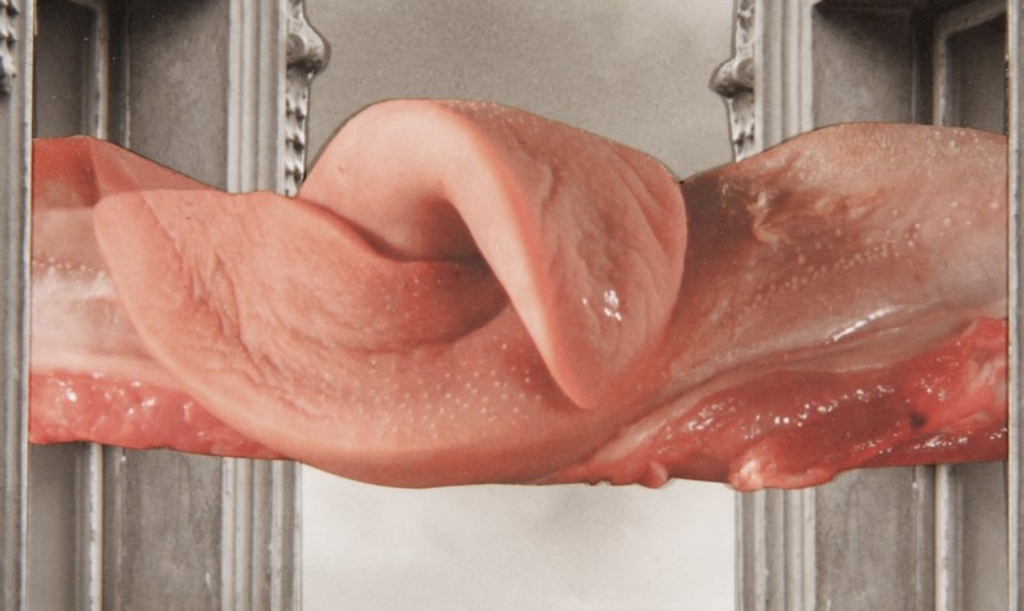  فیلم سینمایی Surviving Life (Theory and Practice) به کارگردانی Jan Svankmajer