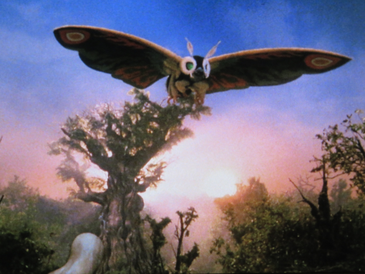  فیلم سینمایی Rebirth of Mothra به کارگردانی Okihiro Yoneda