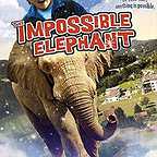 پوستر فیلم سینمایی فیل پرنده به کارگردانی Martin Wood