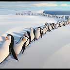  فیلم سینمایی پنگوئن های ماداگاسکار به کارگردانی Eric Darnell