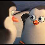  فیلم سینمایی پنگوئن های ماداگاسکار به کارگردانی Eric Darnell