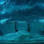  فیلم سینمایی آبی بزرگ به کارگردانی Luc Besson