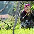  فیلم سینمایی از یاد رفته به کارگردانی فریدون حسن‌پور