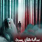 تصویری شخصی از مرتضی افضلی، مدیر تولید و کارگردان سینما و تلویزیون