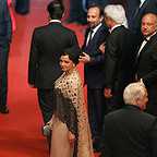 فرش قرمز فیلم سینمایی فروشنده با حضور ترانه علیدوستی، بابک کریمی و اصغر فرهادی