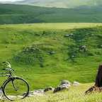  فیلم سینمایی سونسوز به کارگردانی رضا جمالی