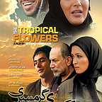پوستر سریال تلویزیونی گل‌های گرمسیری به کارگردانی محمدمهدی عسگرپور