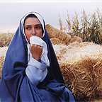  فیلم سینمایی مزرعه پدرى به کارگردانی 