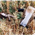  فیلم سینمایی مزرعه پدرى به کارگردانی 