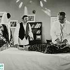  فیلم سینمایی پرستوها به لانه برمی‌گردند به کارگردانی 