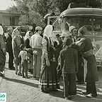  فیلم سینمایی پرستوها به لانه برمی‌گردند به کارگردانی 