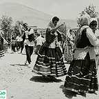  فیلم سینمایی پرستوها به لانه برمی‌گردند به کارگردانی 