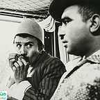  فیلم سینمایی پرستوها به لانه برمی‌گردند به کارگردانی 