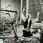  فیلم سینمایی پرستوها به لانه برمی‌گردند به کارگردانی 