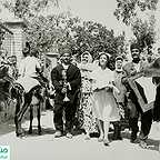  فیلم سینمایی پرستوها به لانه برمی‌گردند به کارگردانی 